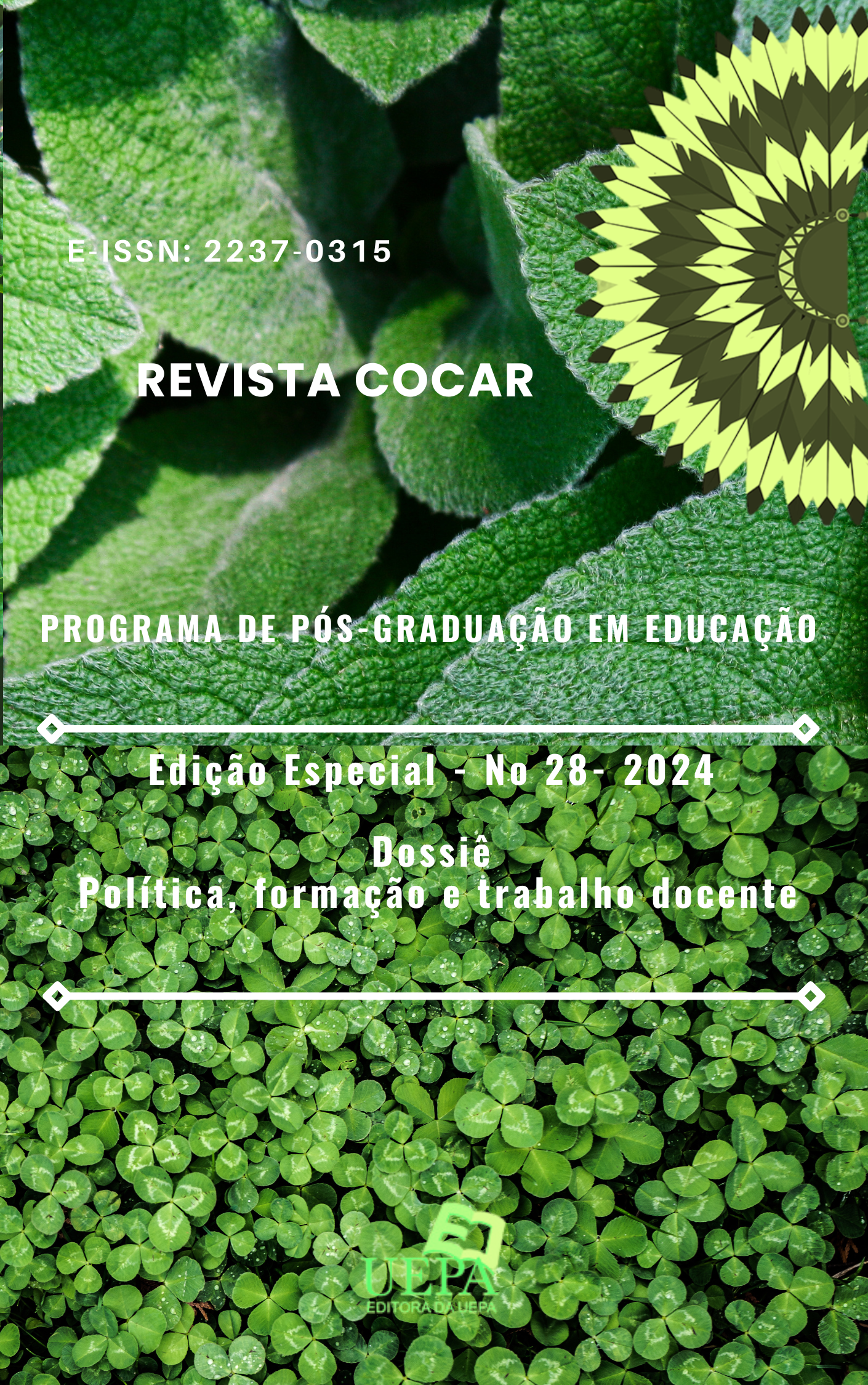 Capa da Publicação