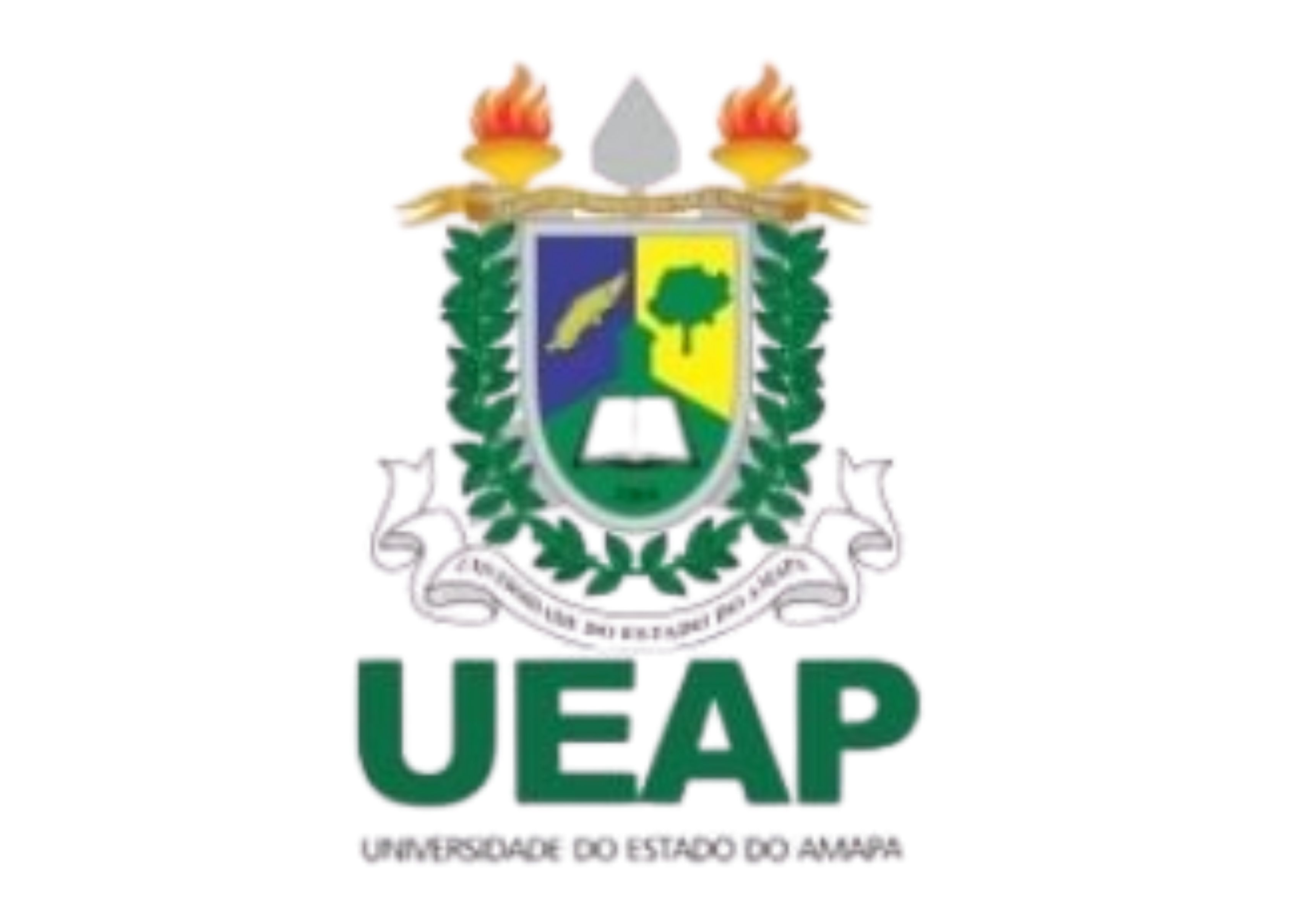Logo UEAP.png