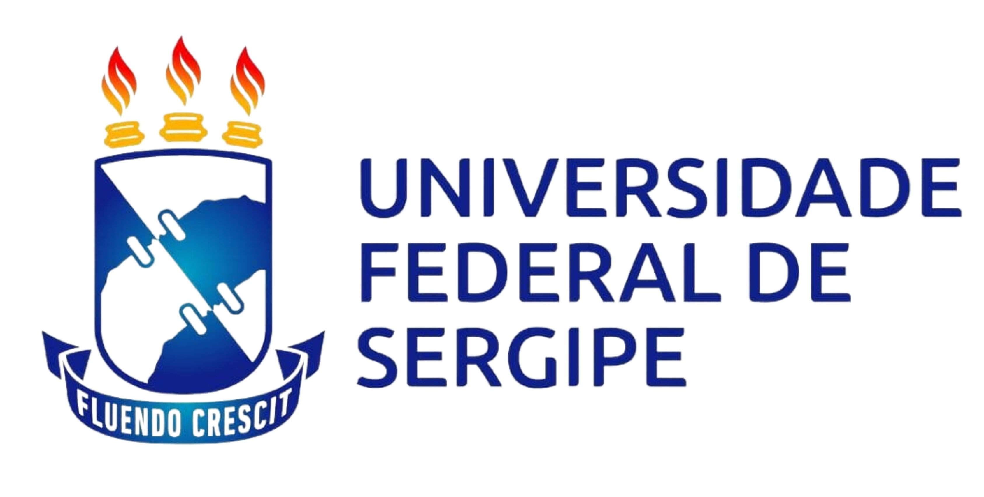 Logo UFS.png